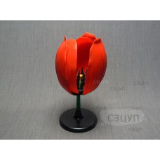 Модель Цветок тюльпана